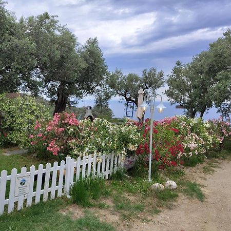 Villa Pierina フィナーレ・リーグレ エクステリア 写真