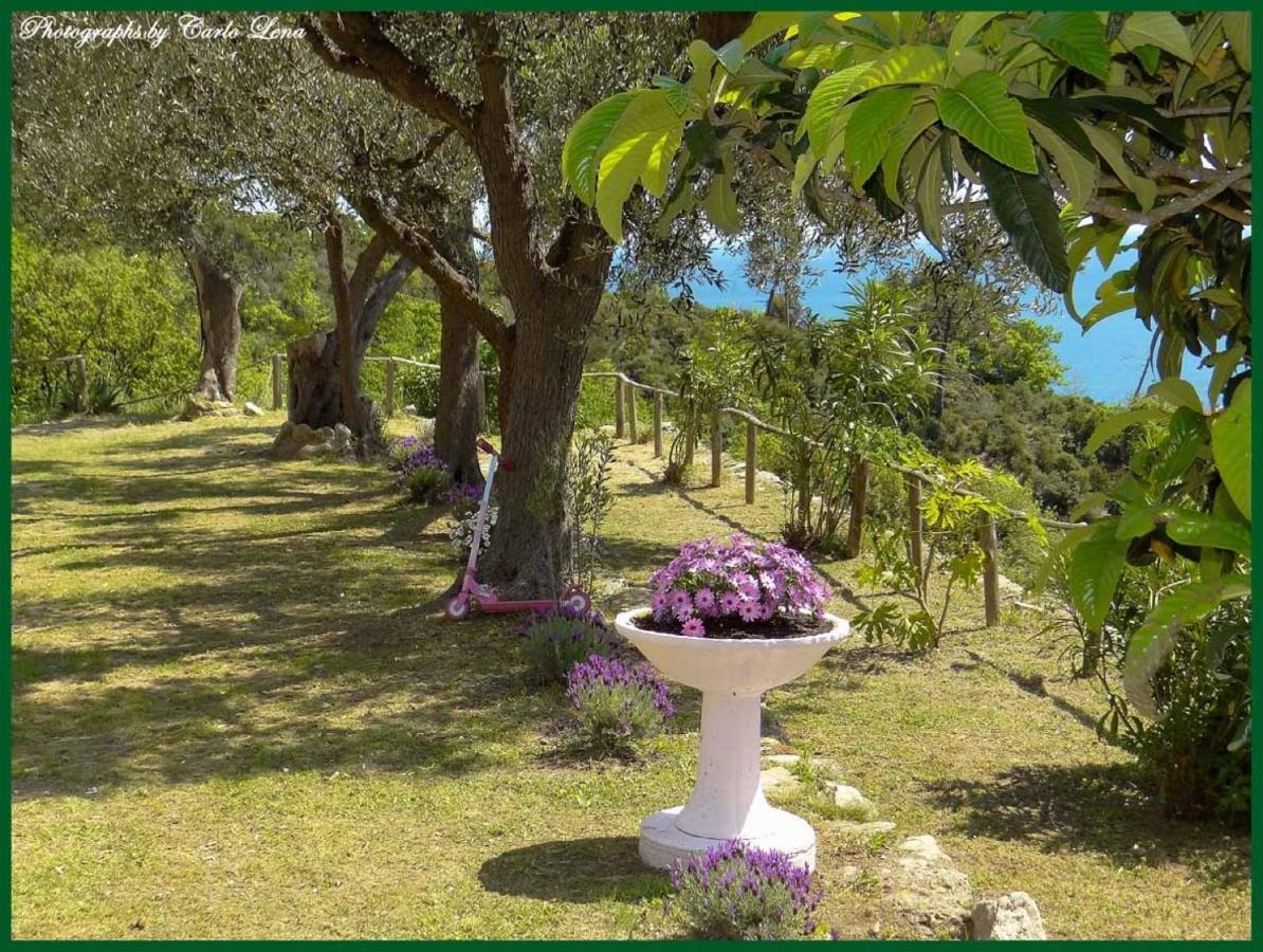 Villa Pierina フィナーレ・リーグレ エクステリア 写真