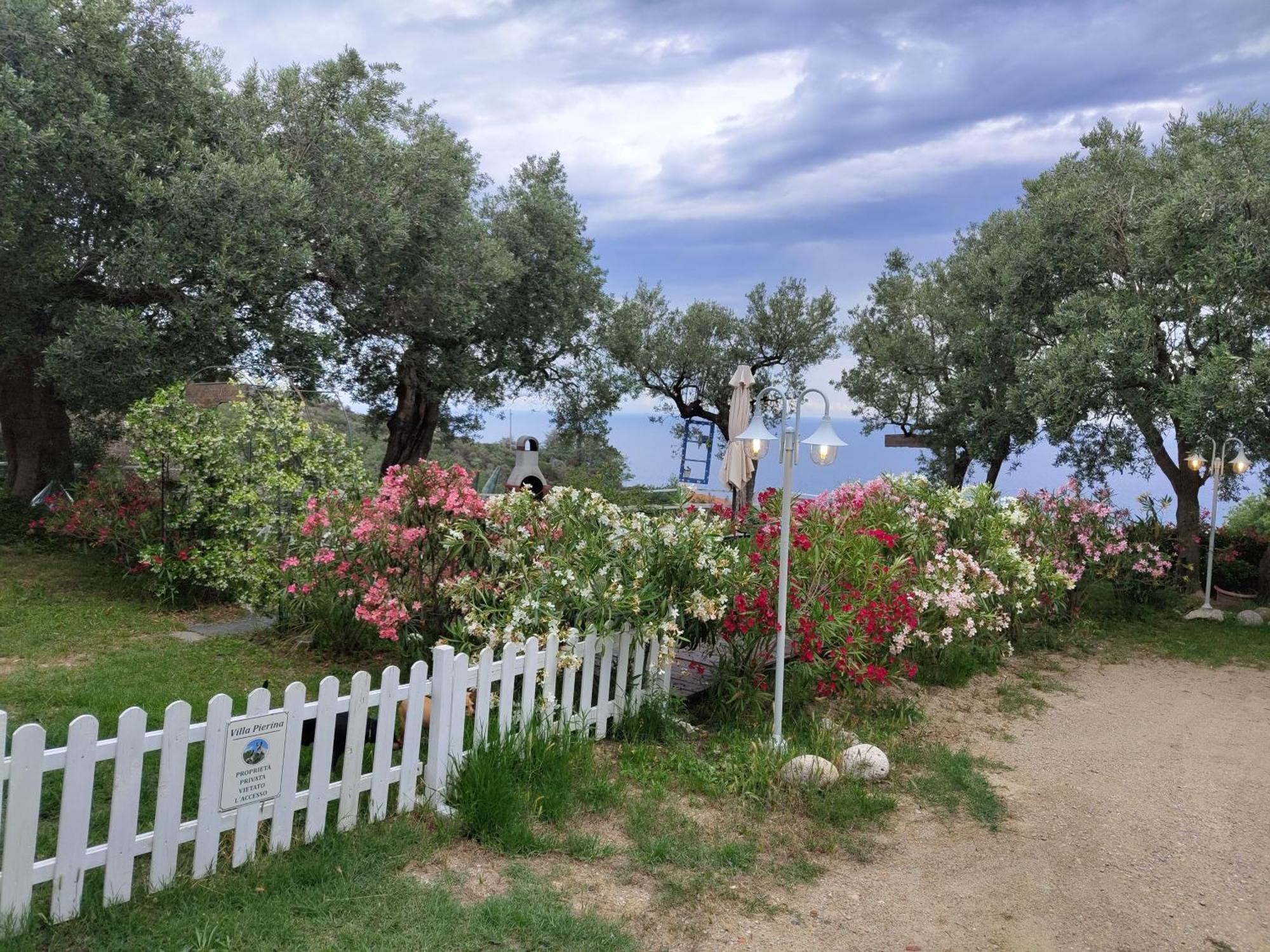 Villa Pierina フィナーレ・リーグレ エクステリア 写真